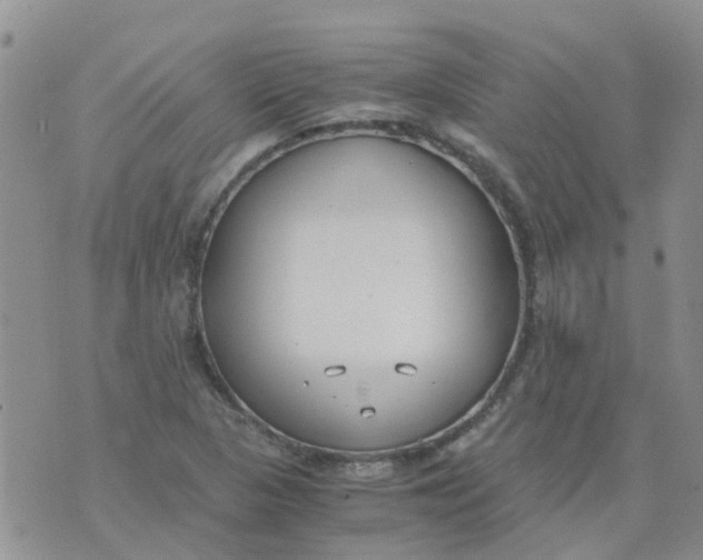 X0000073921313200609011759