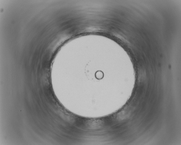 X0000073921314200609011759