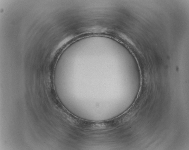 X0000073921315200609011759