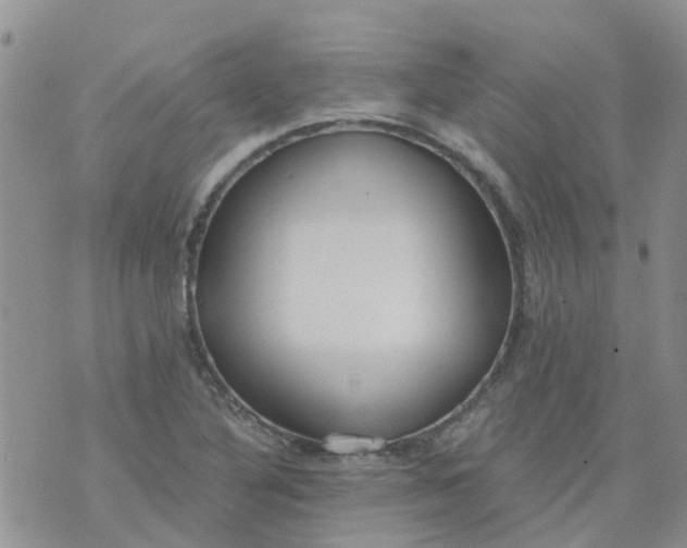 X0000073921316200609011759