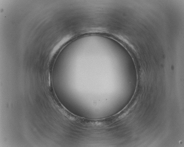 X0000073921317200609011759