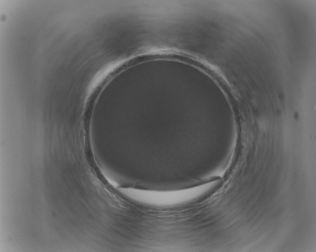 X0000073921319200609011759