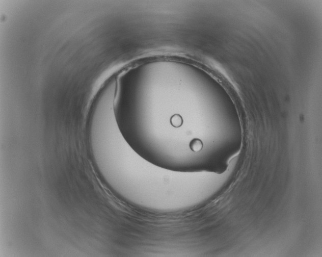 X0000073921320200609011759