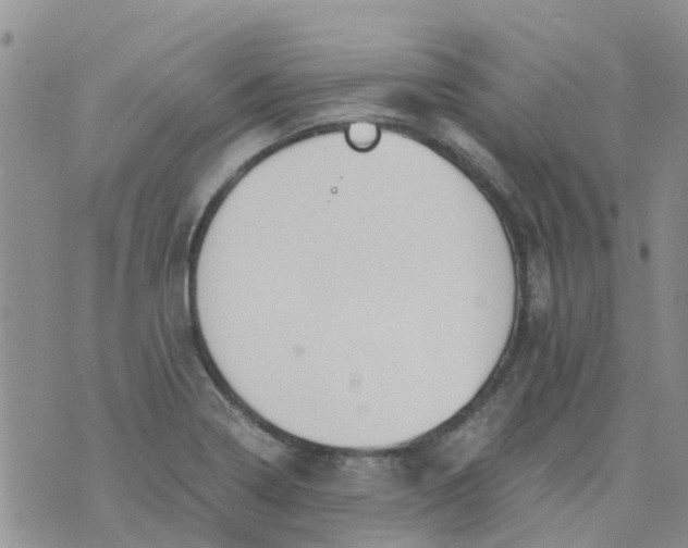 X0000073921322200609011759