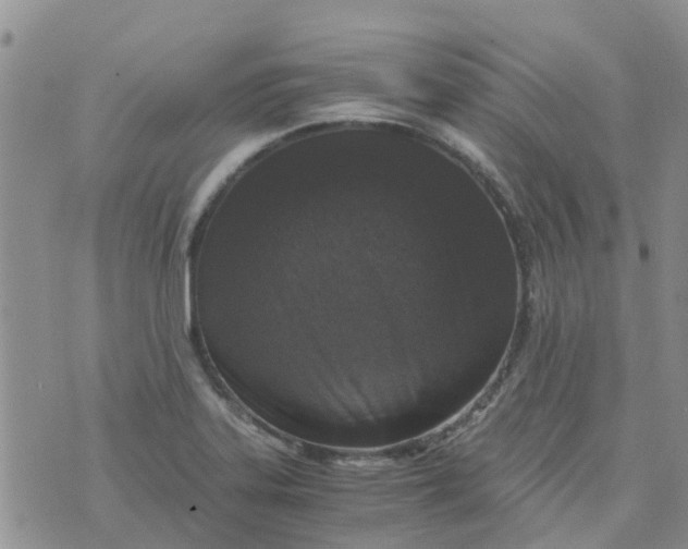 X0000073921323200609011759