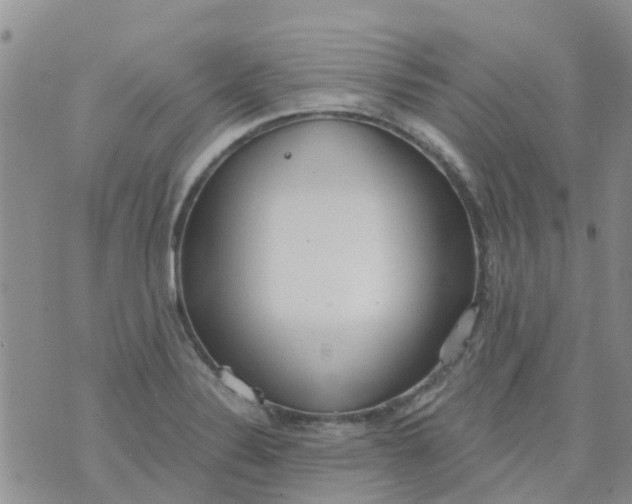 X0000073921324200609011759