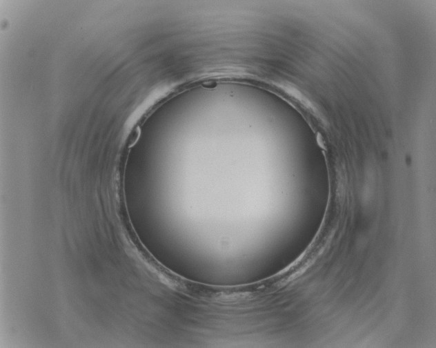 X0000073921325200609011759