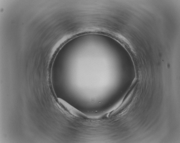 X0000073921326200609011759