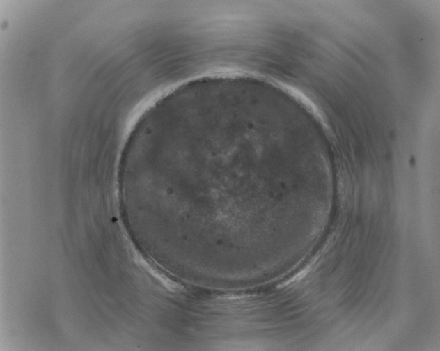 X0000073921327200609011759