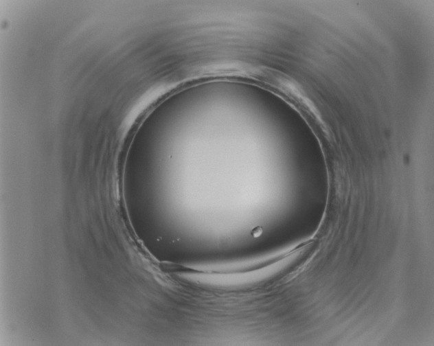 X0000073921328200609011759