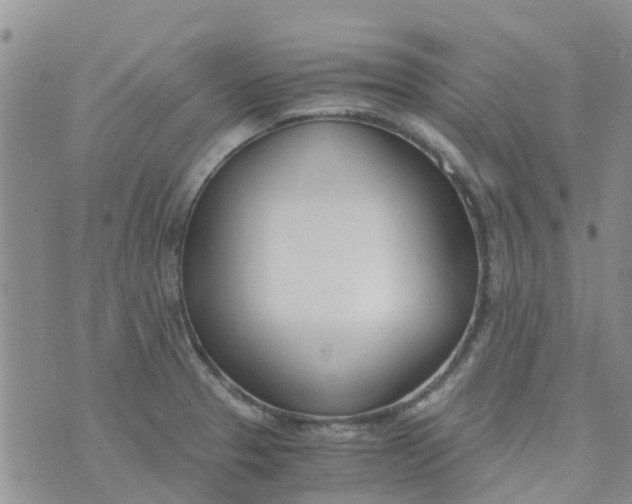 X0000073921329200609011759