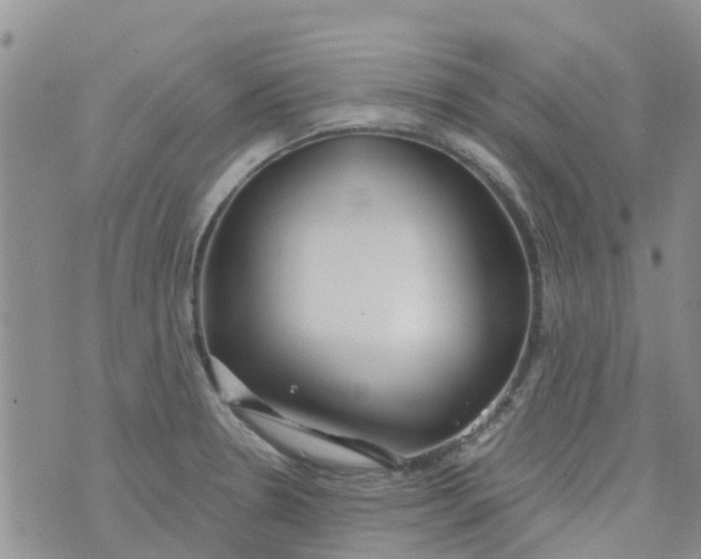 X0000073921330200609011759