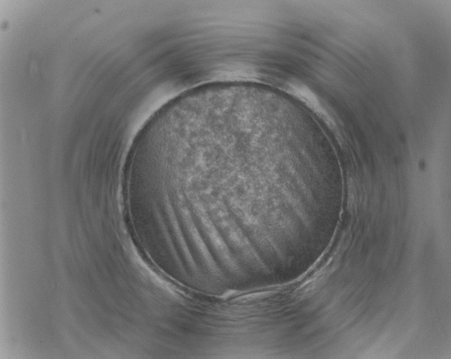 X0000073921331200609011759