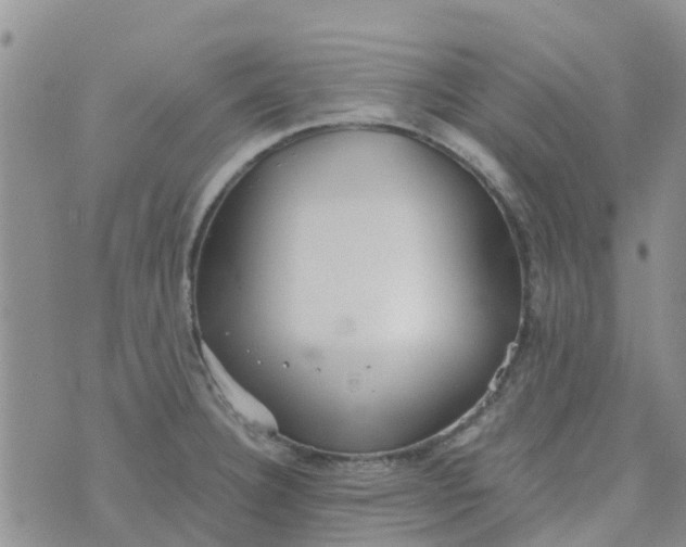 X0000073921332200609011759