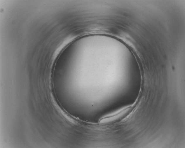 X0000073921333200609011759