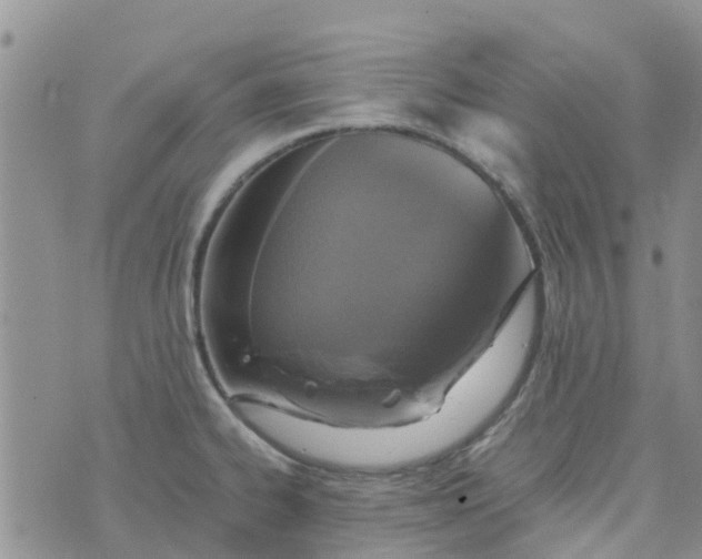 X0000073921334200609011759