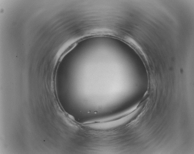 X0000073921336200609011759