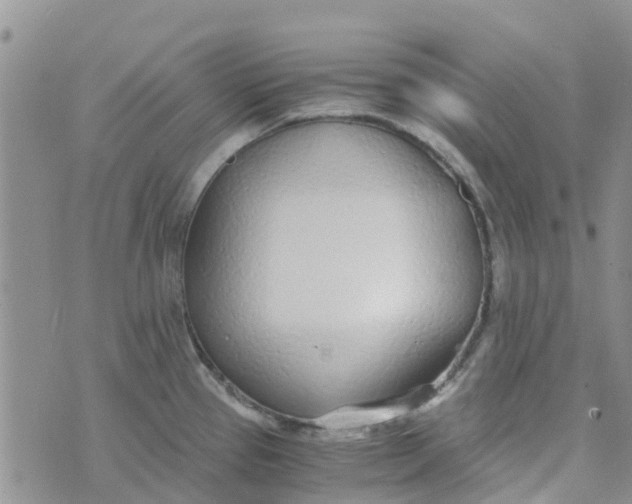 X0000073921337200609011759