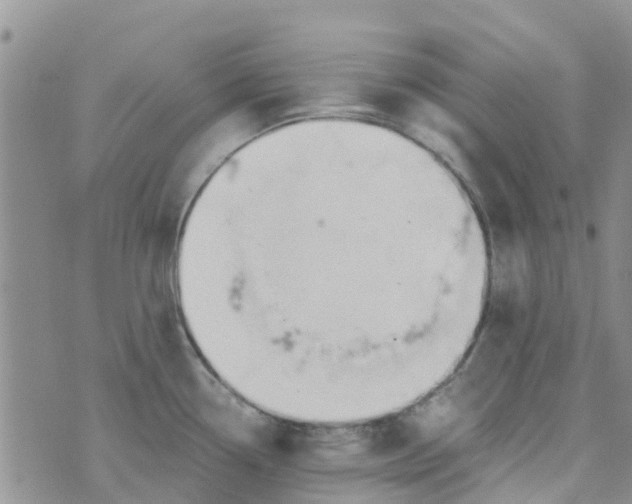 X0000073921338200609011759