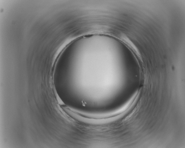 X0000073921340200609011759