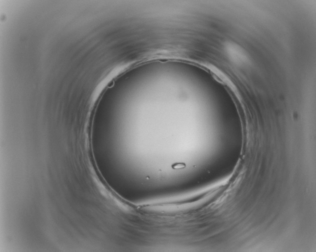 X0000073921341200609011759