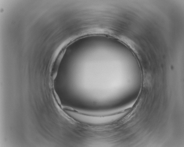 X0000073921342200609011759