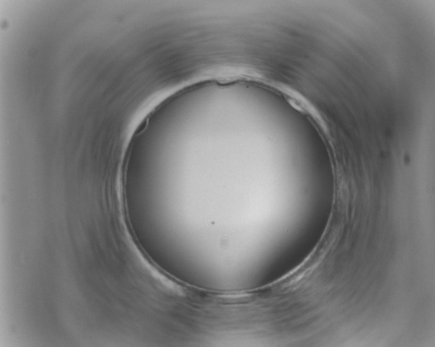 X0000073921343200609011759