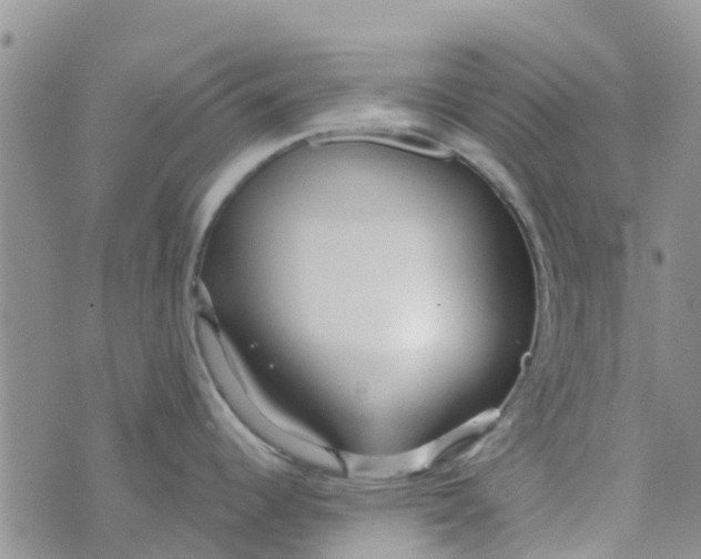 X0000073921344200609011759