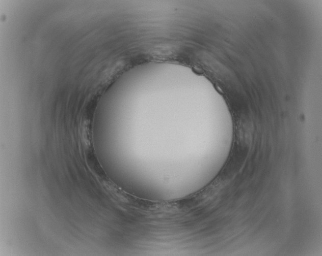 X0000073921346200609011759