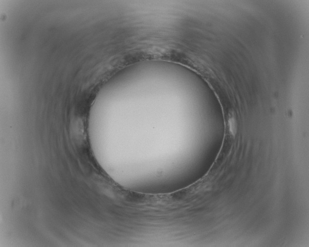 X0000073921347200609011759