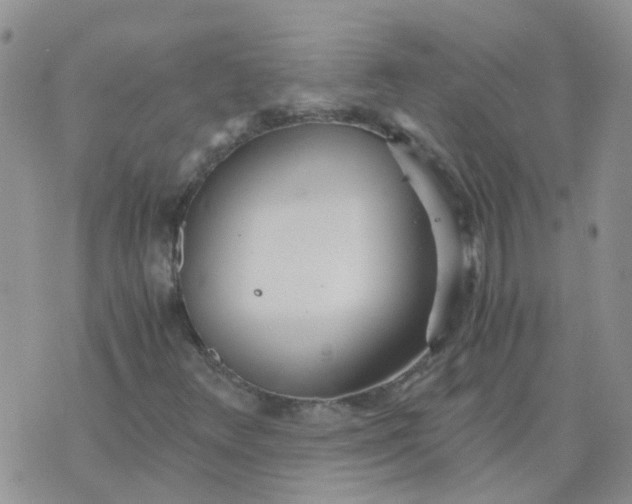 X0000073921348200609011759