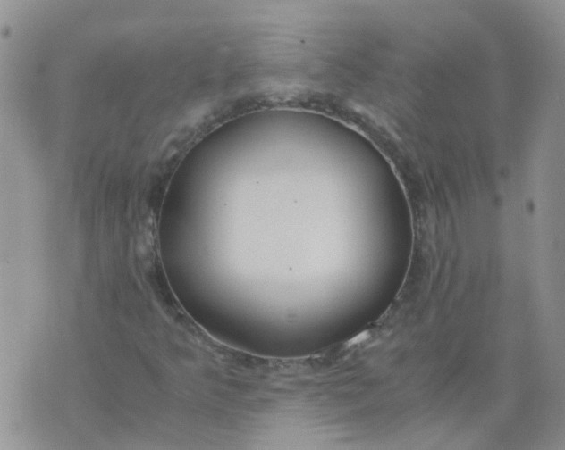 X0000073921349200609011759