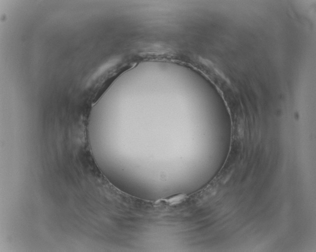 X0000073921350200609011759