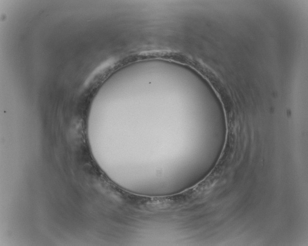 X0000073921351200609011759