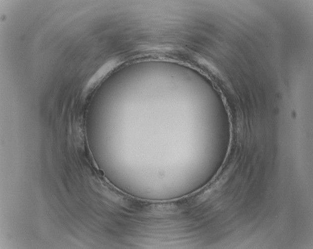 X0000073921354200609011759