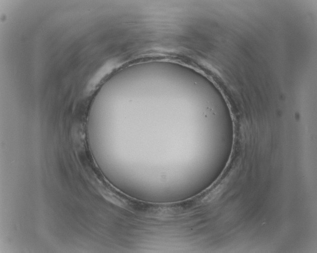 X0000073921355200609011759