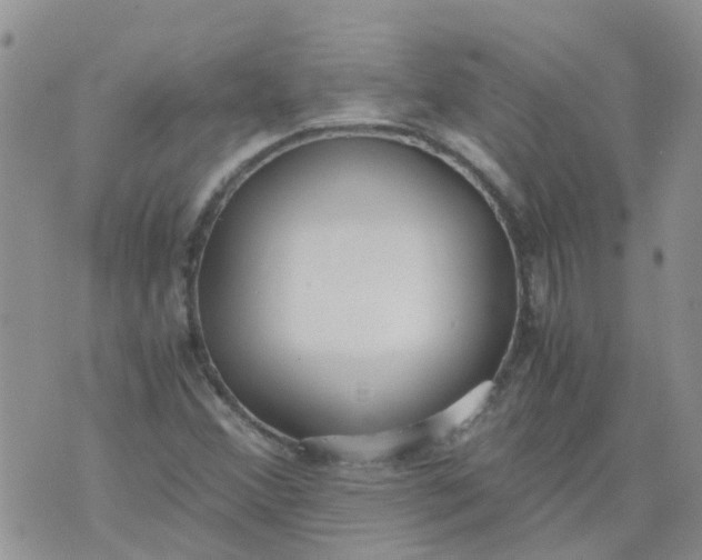 X0000073921356200609011759