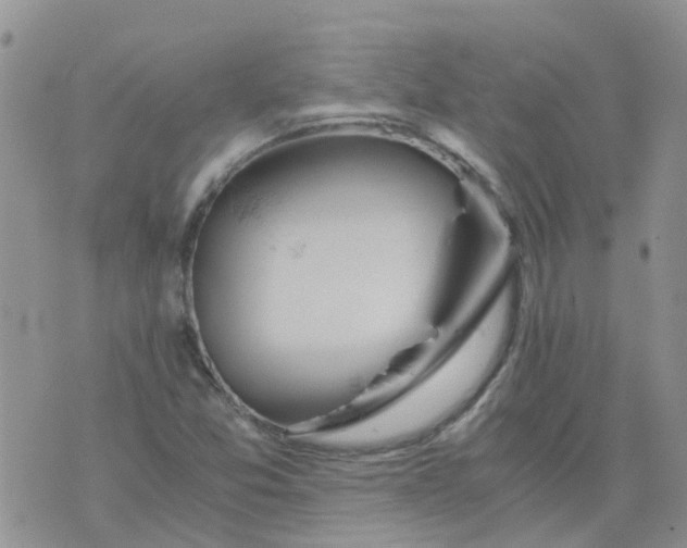 X0000073921357200609011759