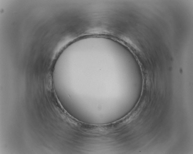 X0000073921358200609011758