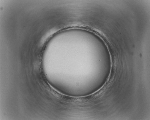 X0000073921359200609011758