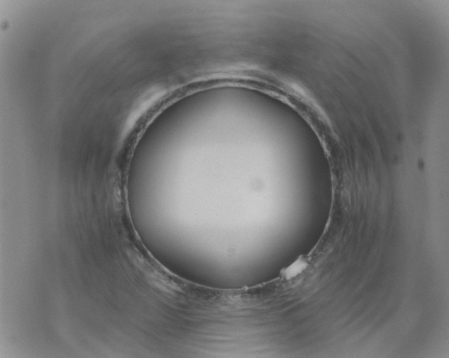 X0000073921360200609011758