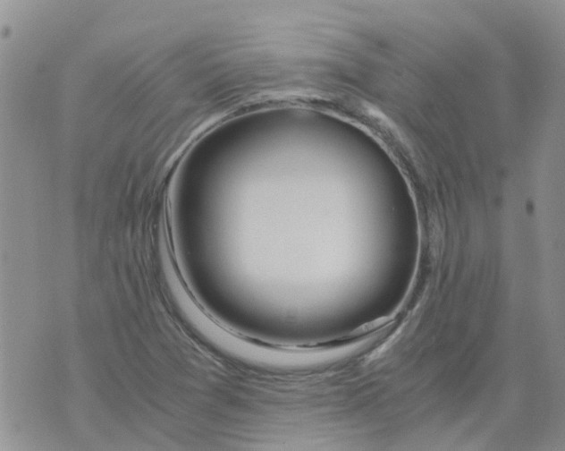 X0000073921361200609011758