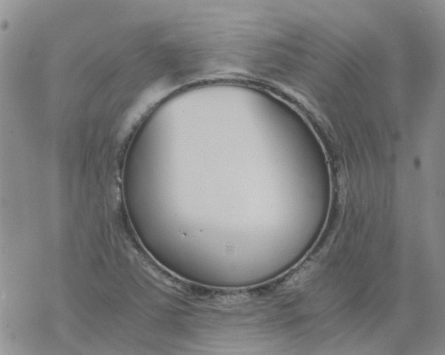 X0000073921363200609011758