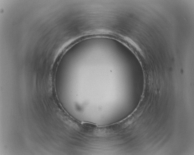 X0000073921364200609011758