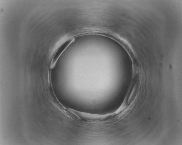 X0000073921365200609011758