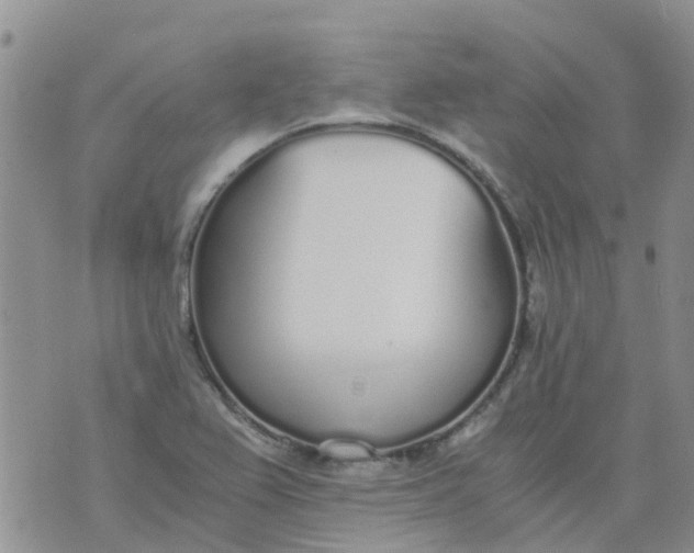 X0000073921367200609011758