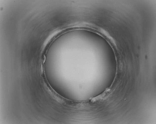 X0000073921368200609011758