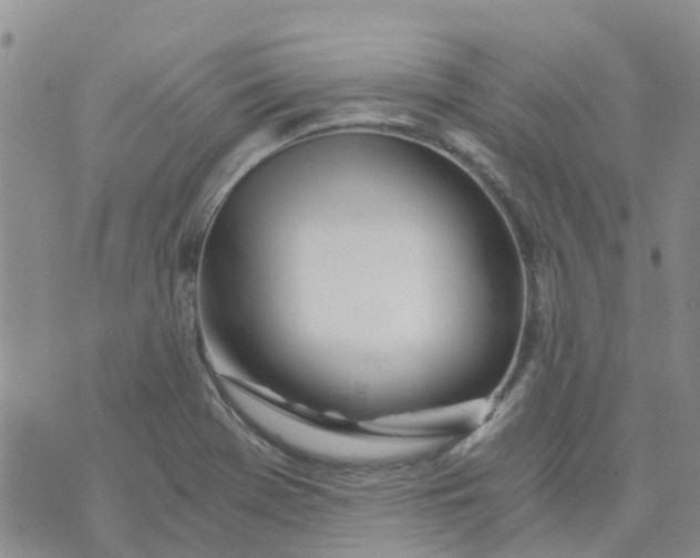 X0000073921369200609011758