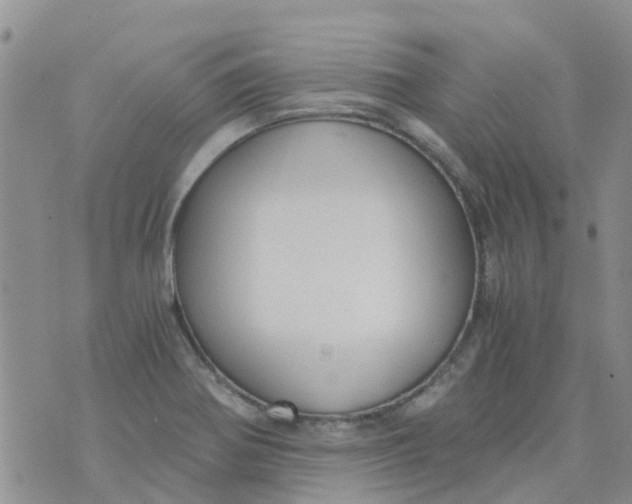 X0000073921370200609011758