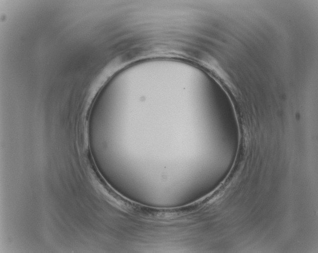 X0000073921371200609011758